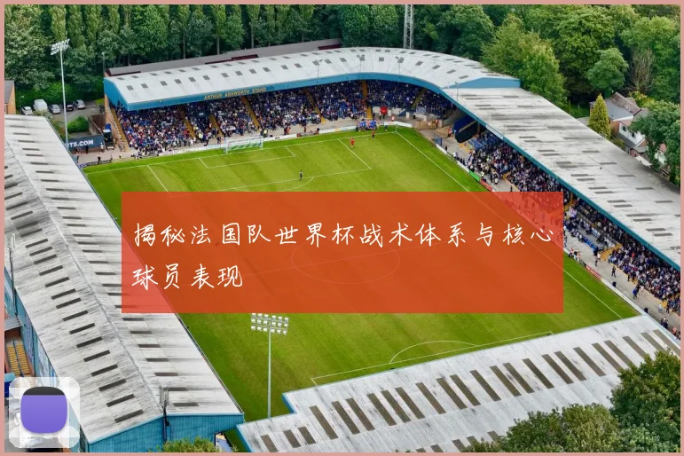揭秘法国队世界杯战术体系与核心球员表现