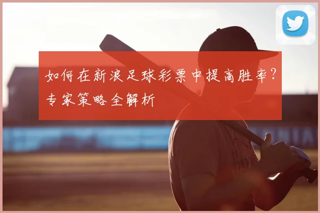 如何在新浪足球彩票中提高胜率？专家策略全解析