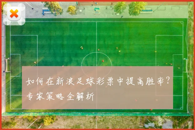如何在新浪足球彩票中提高胜率？专家策略全解析